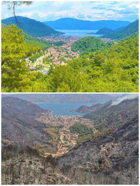 Beautiful Nature image