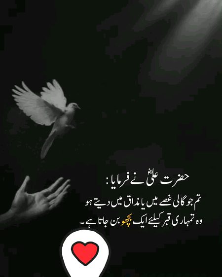 Islamic Quotes image