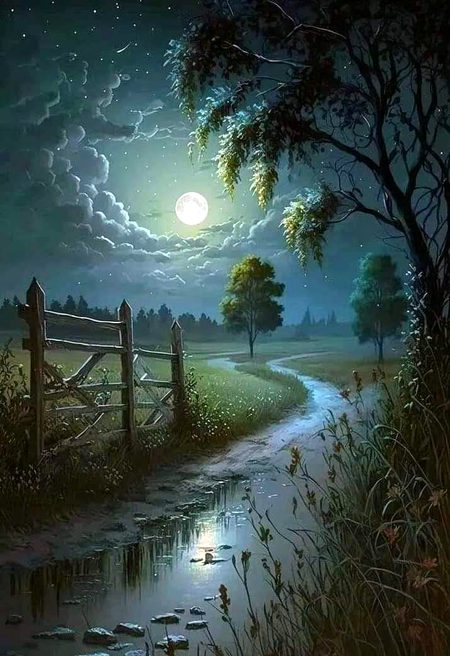 Beautiful Nature image