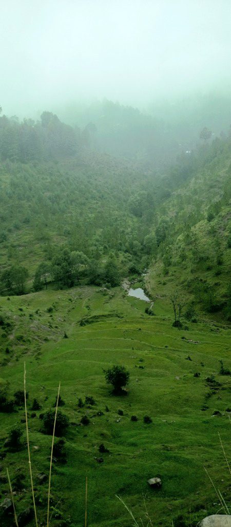 Beautiful Nature image