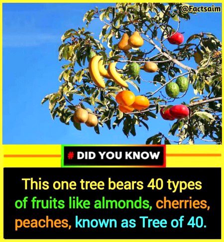 Interesting Posts image