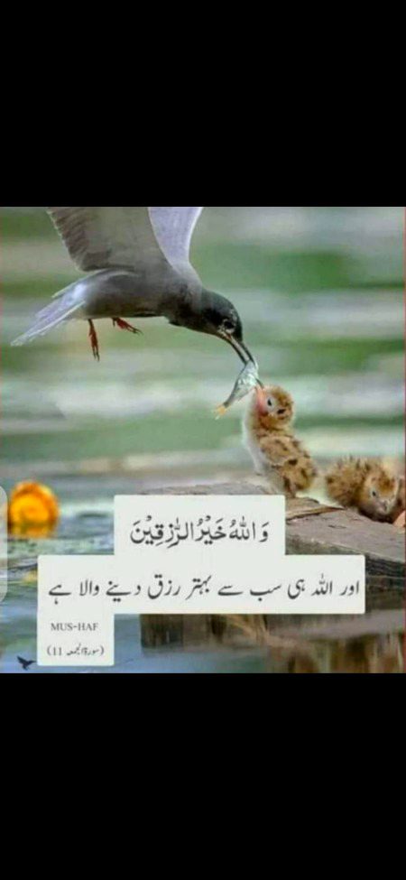 Islamic Quotes image