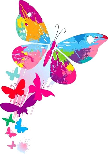Beautiful batterfly