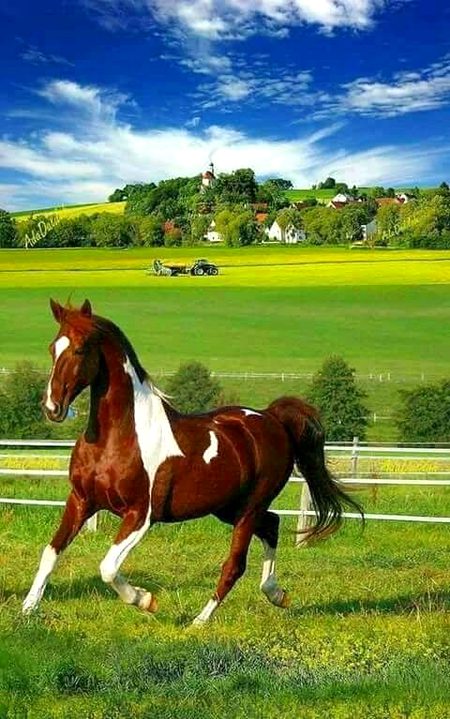 Beautiful Nature image