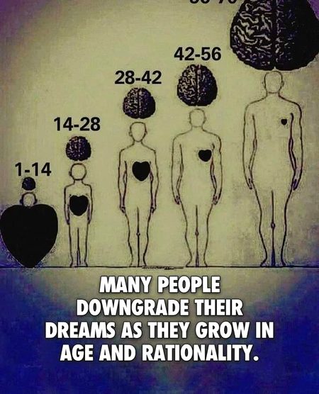 Memes & Satire image