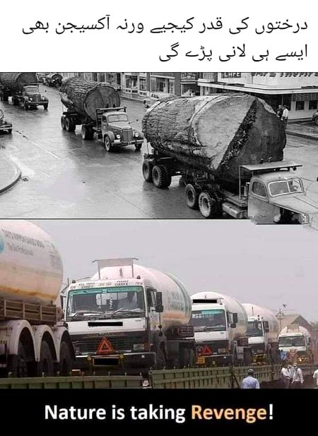 Itz time to take step to servive😐😐