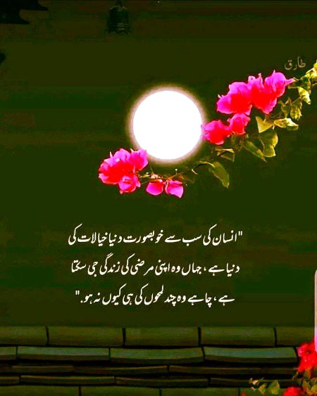 Blkl Saanaam❣️❣️