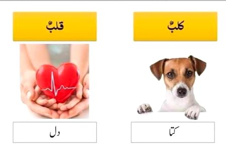 اس تصویر سے آپ اندازہ لگا سکتے ہیں کہ قرآن کریم کے الفاظ میں معمولی سے غلطی سے معنی میں کتنا بڑا فرق آ جاتا ہے۔ اسی لیے قرآن کریم کو کسی اچھے اور ماہر استاد کے پاس پڑھنا بہت ضروری ہے.... اور جب قرآن سننا ہو تو کسی مستند قاری کی تلاوت سنیں۔۔۔ کسی کی آواز پر مت جائیں کہ کتنی خوبصورت ہے بلکہ آپکو اتنا علم ہونا چاہیے کہ تجوید بہتر ہے یا نہیں۔۔۔