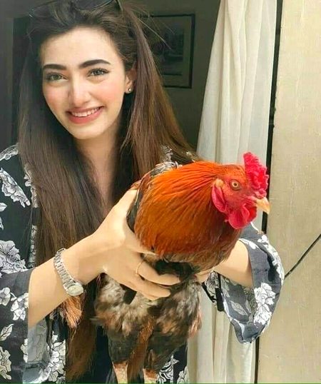آسان کچھ نہیں ہے نظامِ حیات میں 
جو بھی پسند ہو گی شے وہ آپ کی نہیں