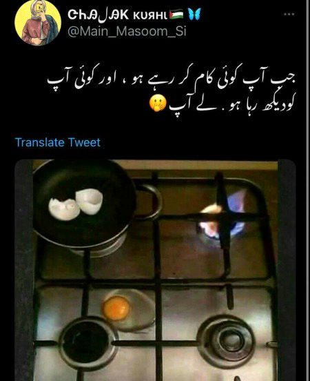 Memes & Satire image