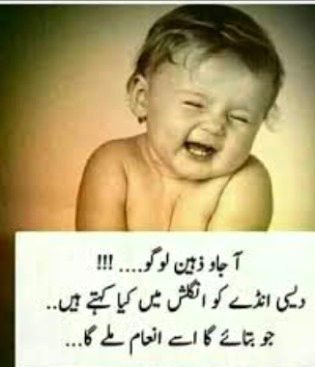 Ab bolo