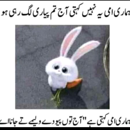 Memes & Satire image