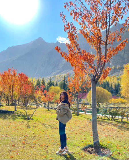 Pakistani Celebs image