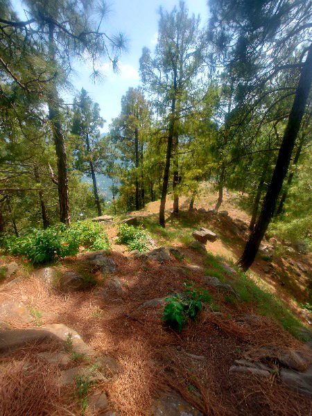 SUkoon or Khamoshi Ak sath