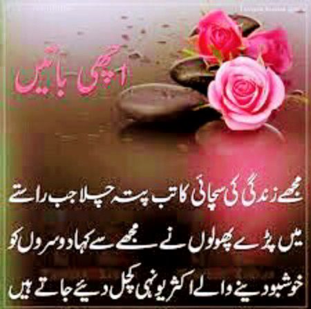 No Caption 🌺🌺🌺