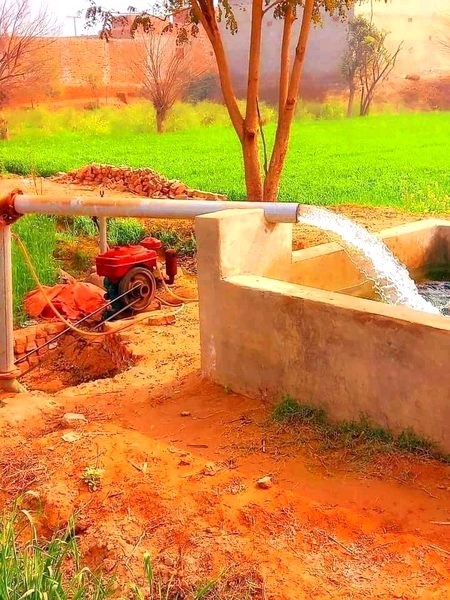 Beautiful Nature image