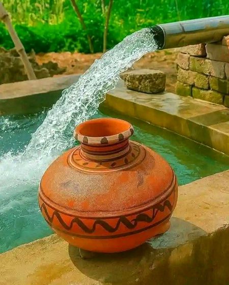 Beautiful Nature image