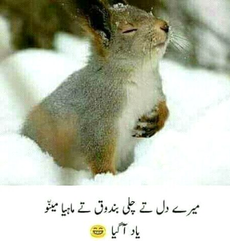 Jokes image