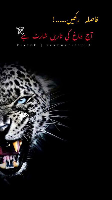 Attitude Poetry image