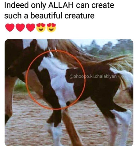 Beautiful Nature image