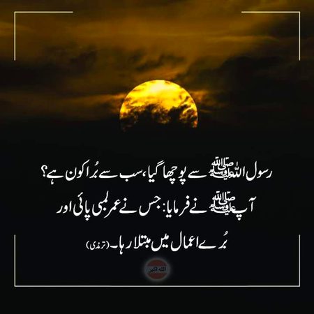 Islamic Quotes image