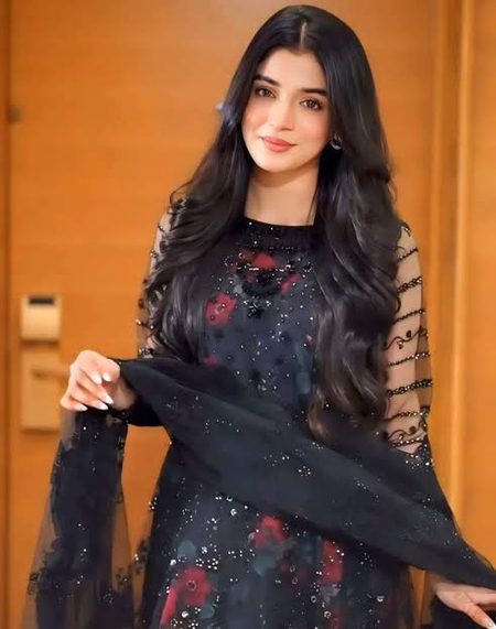 Pakistani Celebs image