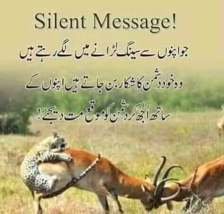 .q3🌷🌹
🌷🌻Good🌹🌹 Nite..🌷🌷