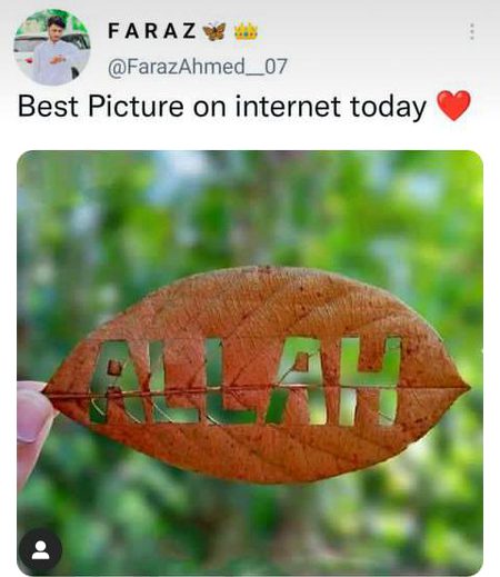 Beautiful Nature image