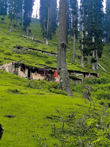 Beautiful Nature image