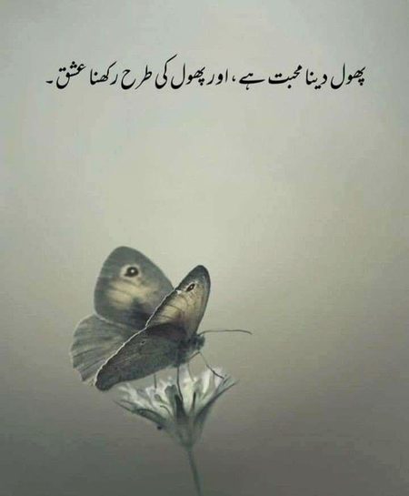 Romantic Poetry image