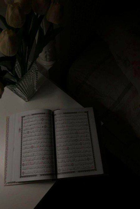 مولانا الیاس صاحب رحمہ اللہ فرماتے تھے کہ
"میں نے سارے بزرگوں کو اوراد و وظائف کرتے دیکھا ۔ مگر جتنا تیز رفتاری سے اللہ تعالی کا قرب صبح صادق سے پہلے قرآن دیکھ کر پڑھنے سے محسوس کیا۔ اتنا کسی وظیفہ میں اور کسی ورد میں اور کسی عمل میں نہیں پایا ۔"
اللہ توفیق دے تو صبح صادق سے پہلے قرآن دیکھ کر پڑھ لیا کریں، چاہیے تین آیتیں ہی کیوں نہ ہوں.
جو لوگ تلاوت کا اہتمام نہیں کرتے انہیں علم کے متعلق اور عمل کے متعلق باتیں یاد نہیں آتیں ۔
تلاوت کی وجہ سے خیر کی باتیں الہام کی جاتی ہیں.
تلاوت قرآن پاک میں جی کا نہ لگنا دل کی مردہ ہونے کی علامت ہے ۔
بلا ترجمہ قرآن پڑھنا بھی انوارات اور اجر سے خالی نہیں ،
یاد رہے کہ قرآن کوصحیح تجوید سے پڑھنا فرض ہے۔ورنہ معنی غلط ہو جاتے ہیں،لهذا كسى قاری صاحب سے پورا قرآن تجويد سے پڑھ لینا ضروری ہے