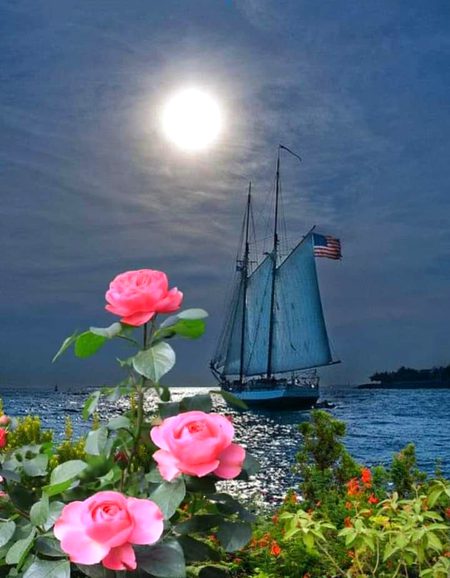 Beautiful Nature image
