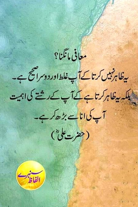 Islamic Quotes image