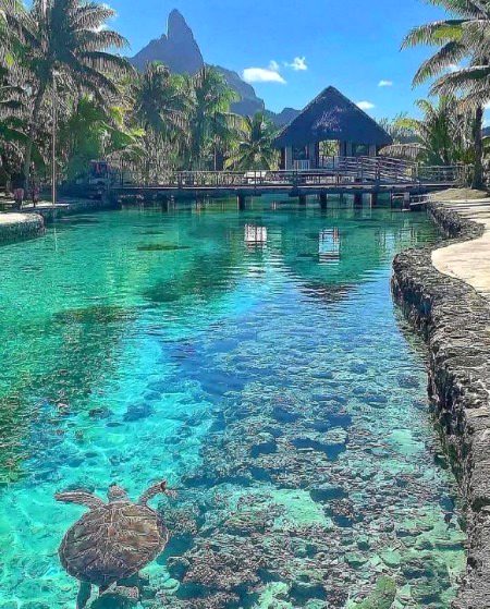 Beautiful Nature image