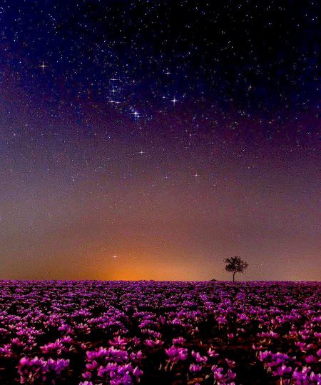 Beautiful Nature image