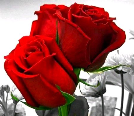 Beautiful Nature image