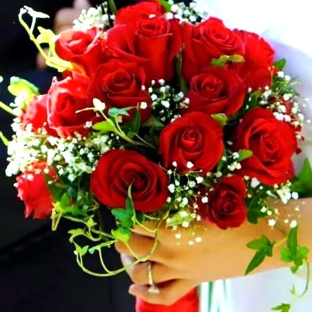 Nicee❤❤❤
