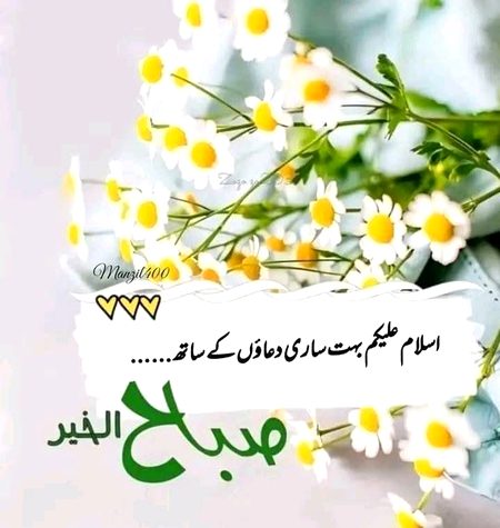 Assalam O Alaikum