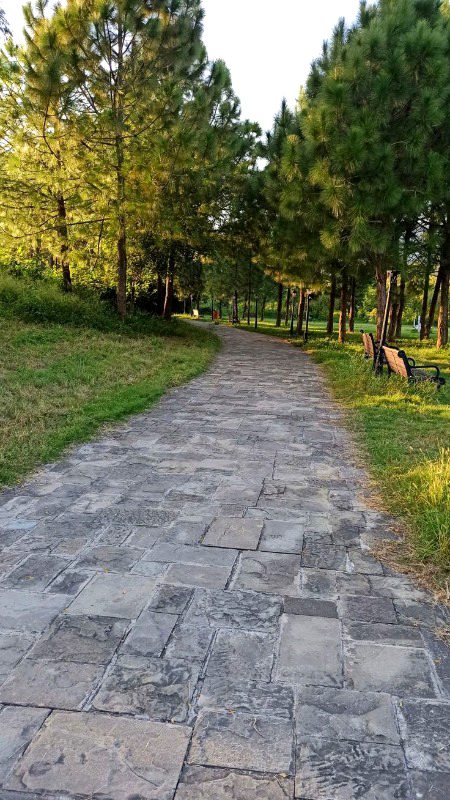 Beautiful Nature image