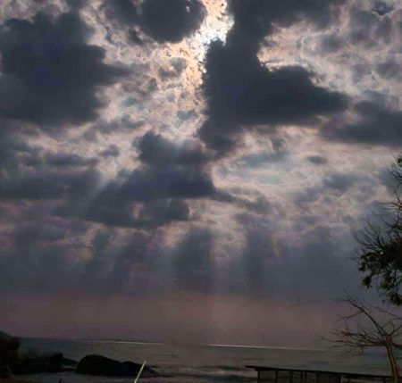 Beautiful Nature image