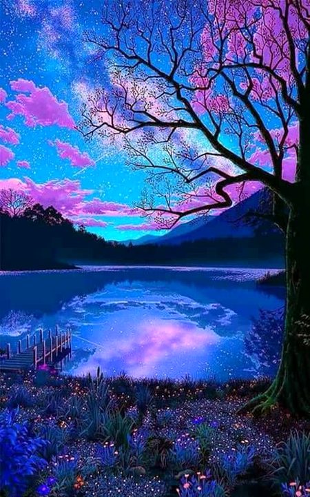 Beautiful Nature image