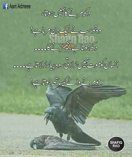 no caption