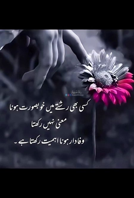 Motivational Quotes image