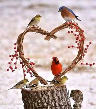 Beautiful Nature image