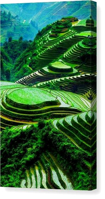 Beautiful Nature image