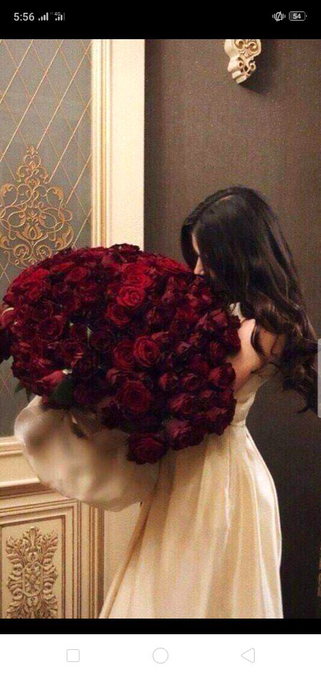 Beautiful Nature image