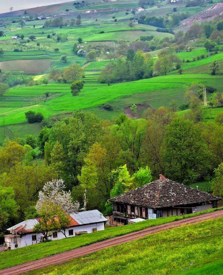 Beautiful Nature image