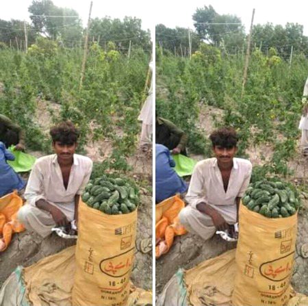 Mzdoori krky kmana koi burae nhi,