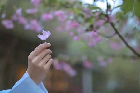 "آپ کی آدھی خوبصورتی آپ کے الفاظ میں ہے 
اور باقی آپکے آداب میں ہے⁦⁦⁦⁦_____⁦⁦♡‿♡