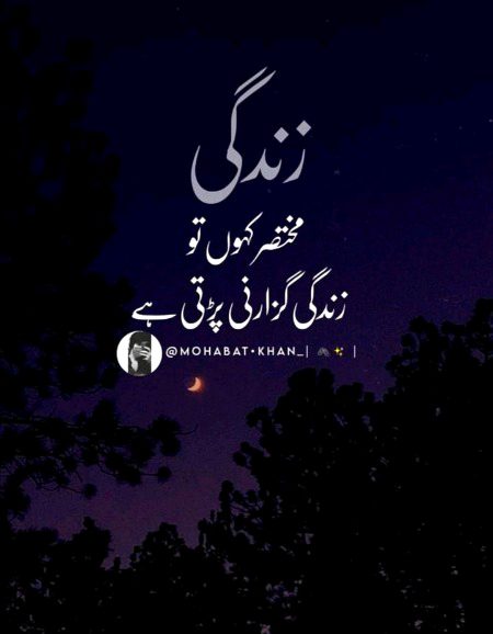 زندگی مختصر کہوں تو